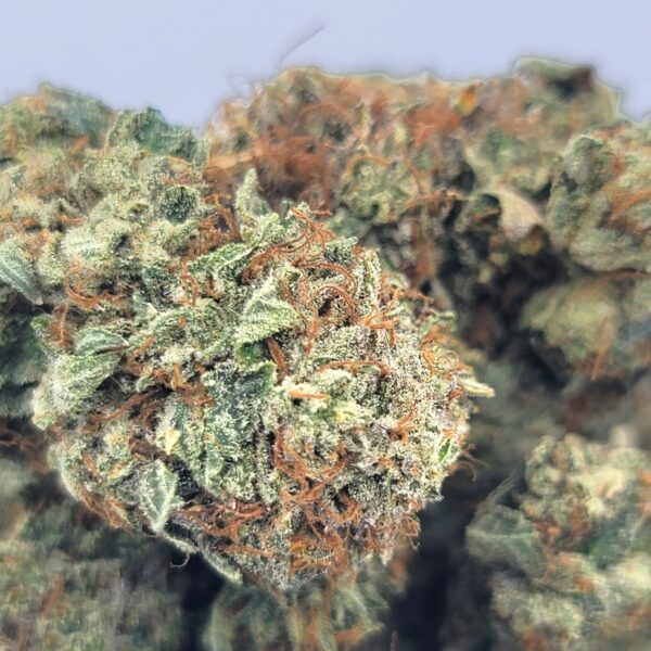 Pre 98 Bubba - Indica - Image 2