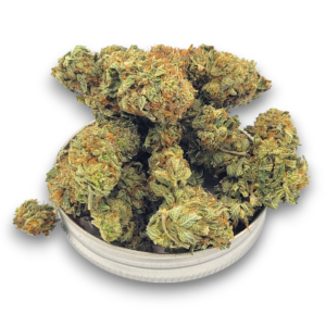 Pre 98 Bubba - Indica