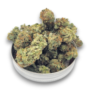 Afghani Bullrider - Indica