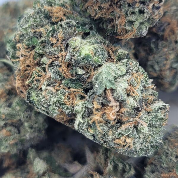 Apple Fritters - Hybrid - Image 2