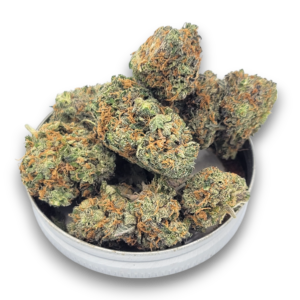 Apple Fritters - Hybrid