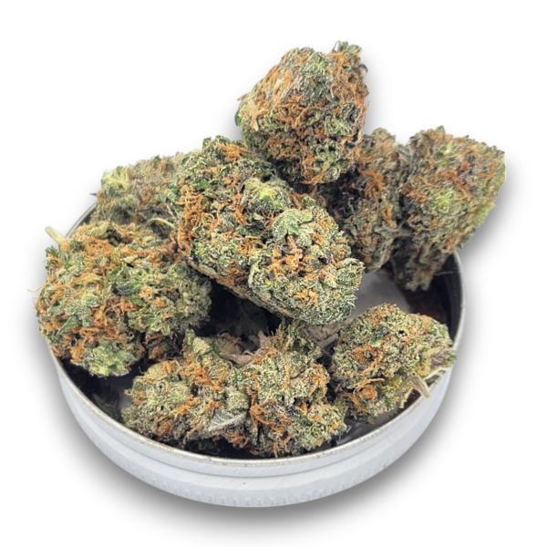 Apple Fritters - Hybrid