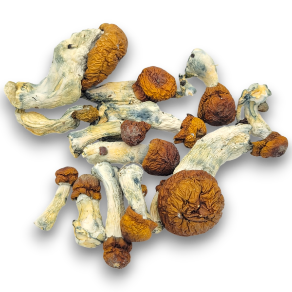 Blue Pulaski - Mushrooms