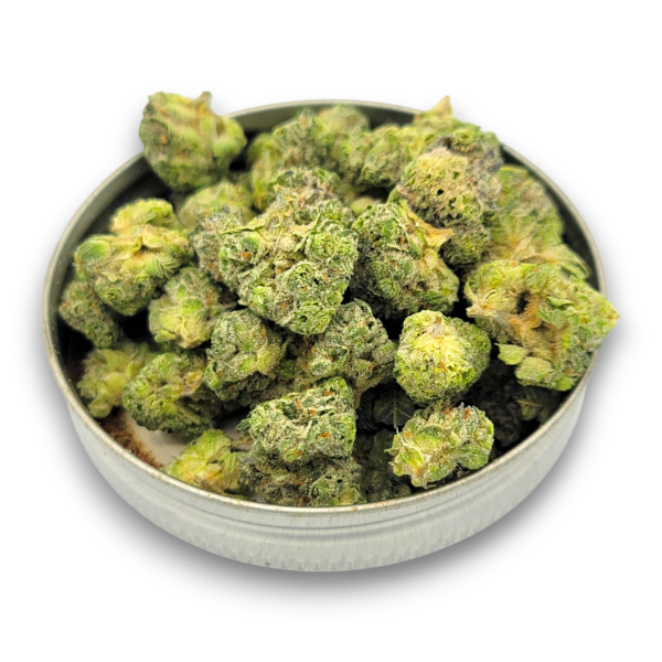 Cake City - Hybrid