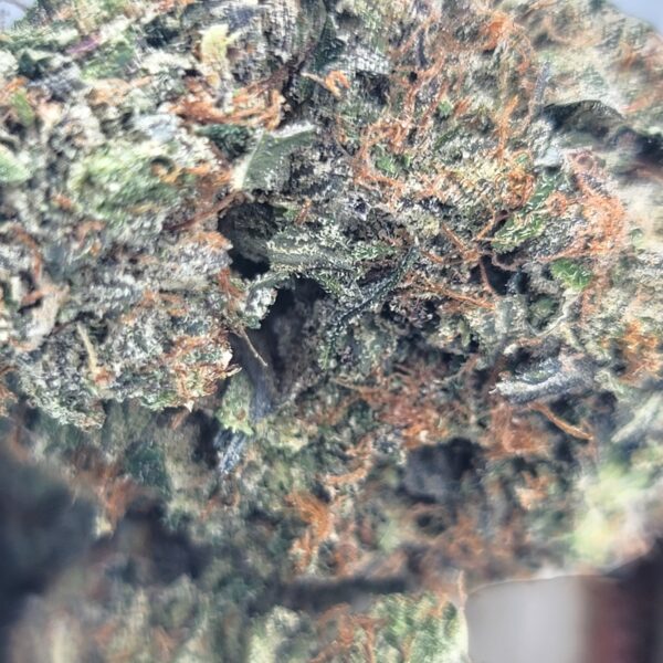 Chemdawg - Hybrid - Image 2