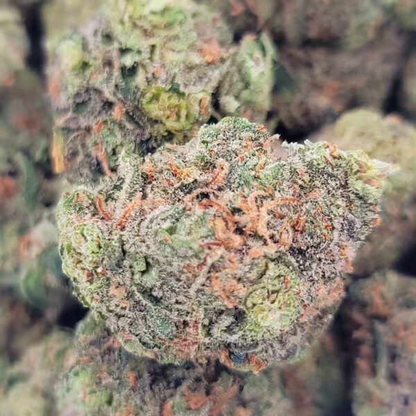 Citrique - Sativa - Image 2