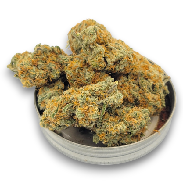 Coconut Milk - Hybrid