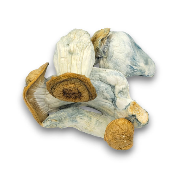 Code Blue - Mushrooms