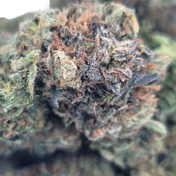 Fire Bubba OG - Hybrid - Image 2