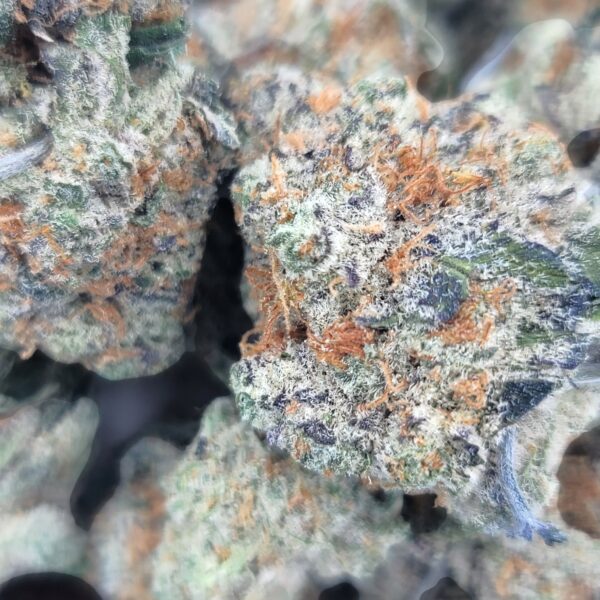 Grape Ape - Indica - Image 2