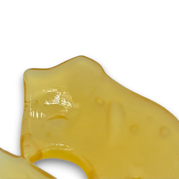 GSC - Hybrid - Image 2