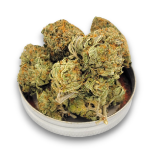 Mob Boss - AAA - Sativa