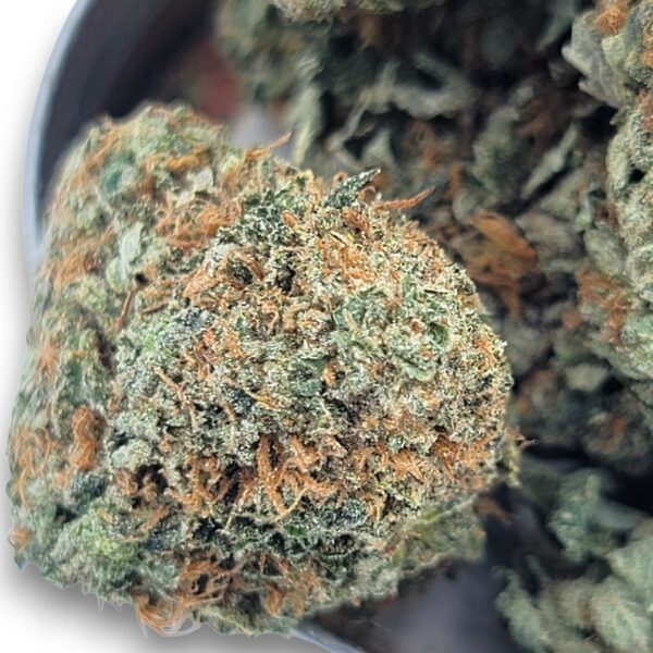 Mob Boss - AAA - Sativa - Image 2