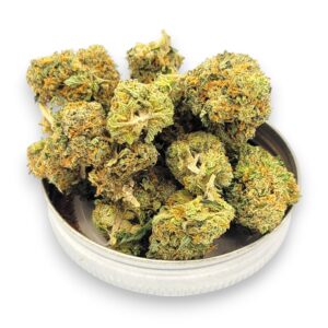 Pink Gorilla - Hybrid