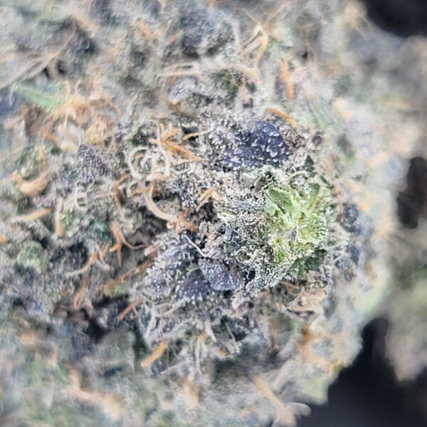Pink Goo - Indica - Image 2