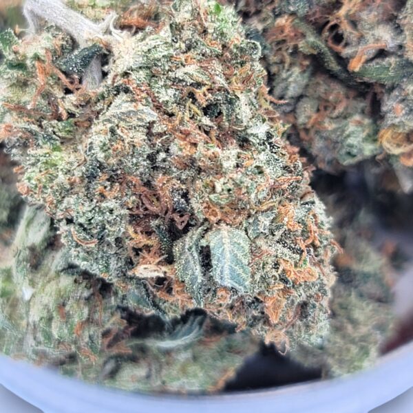 Pink Star - Indica - Image 2