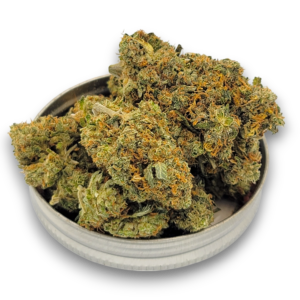 Pink Star - Indica