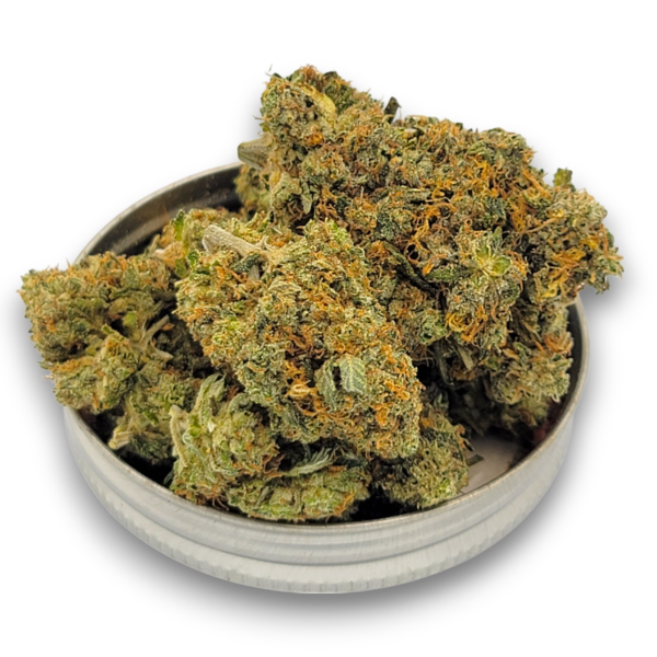 Pink Star - Indica