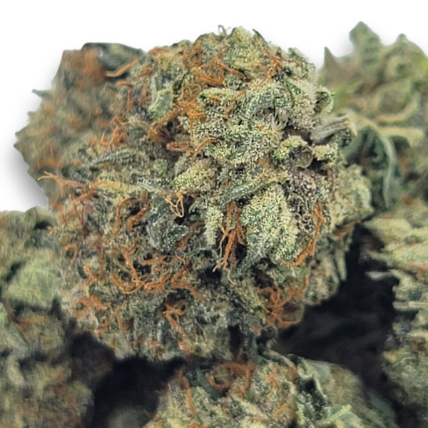 Purple Kush - Indica - Image 2