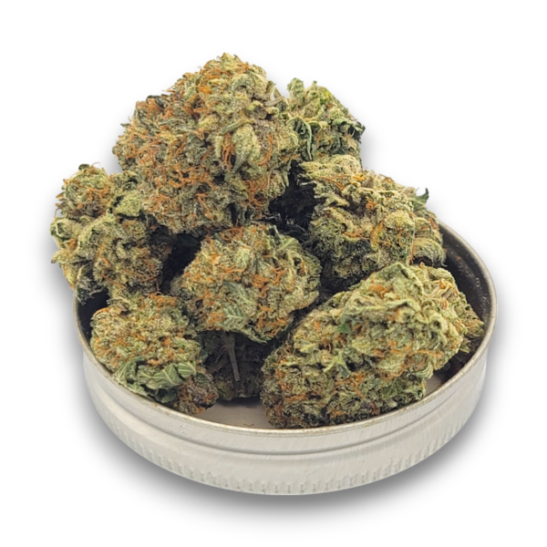 Purple Kush - Indica