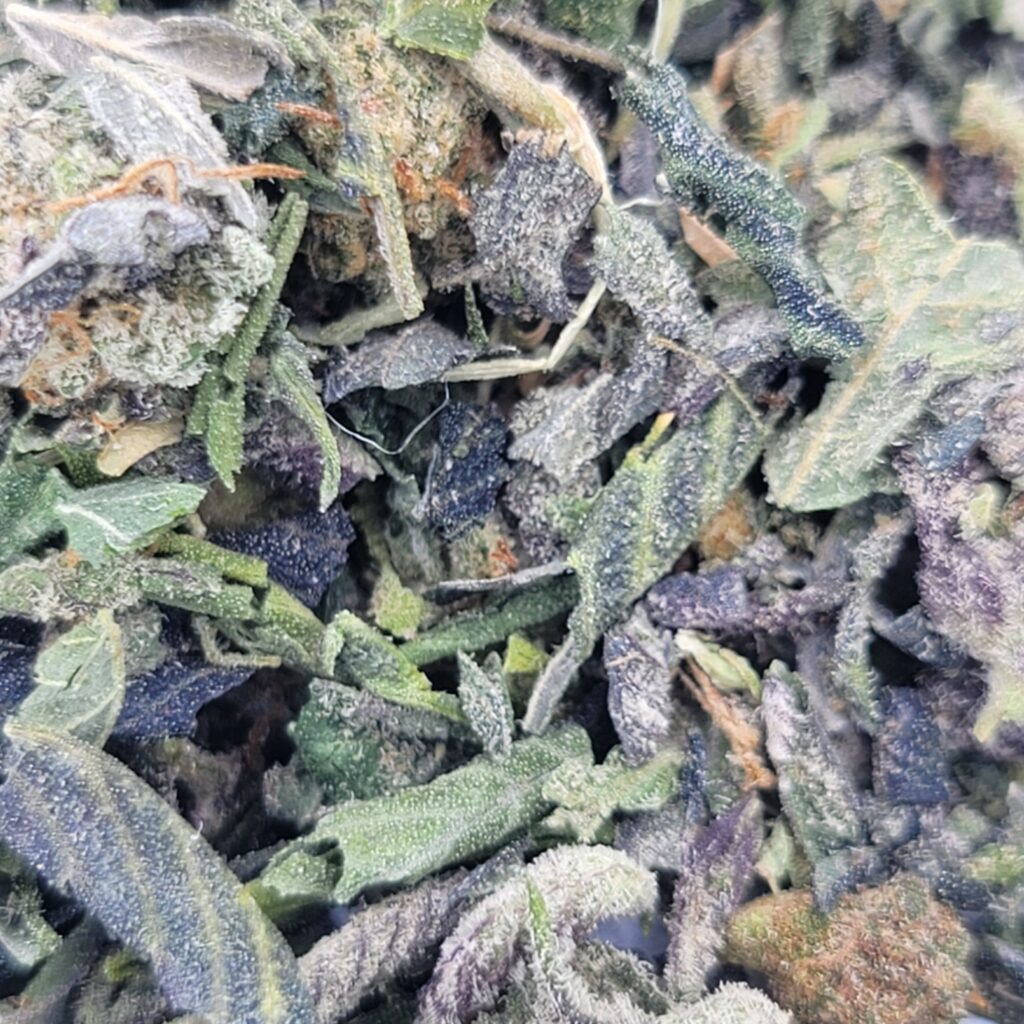 Cannabis shake and trim bulk product image