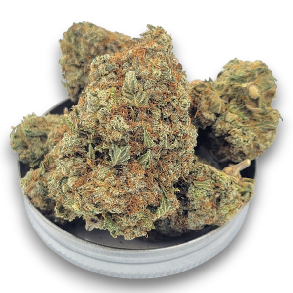 Starfighter - Hybrid