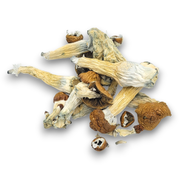 TAT Smurf - Mushrooms