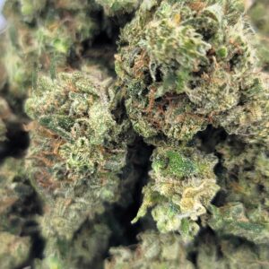 bentley og