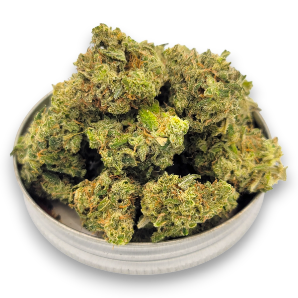 Bentley OG