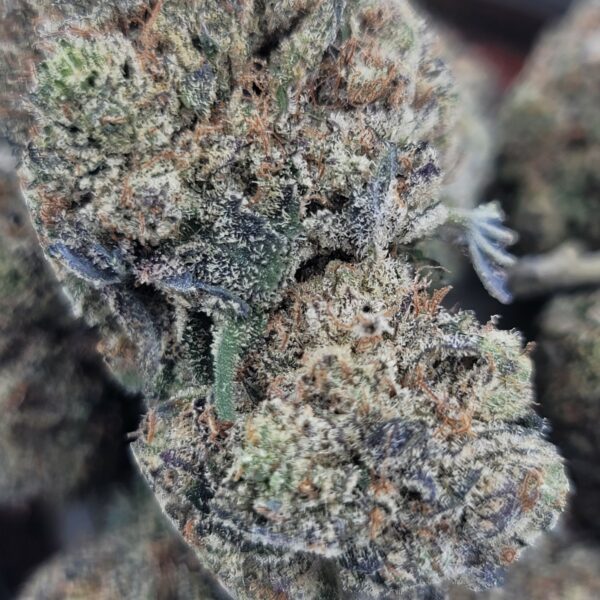Pink Berry - Indica Leaning - Image 2