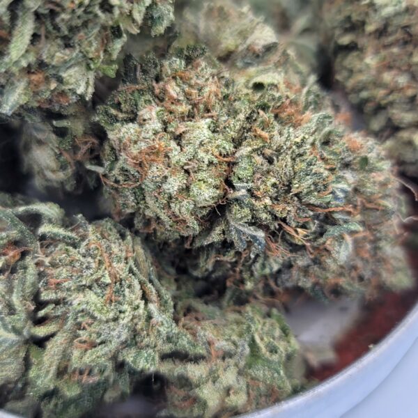 Pink Panther - Sativa - Image 2