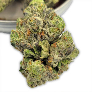 Alternative view of Stripper Spit - Hybrid Strain