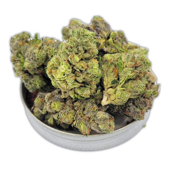 Stripper Spit cannabis strain – dense indica hybrid buds with frosty trichomes