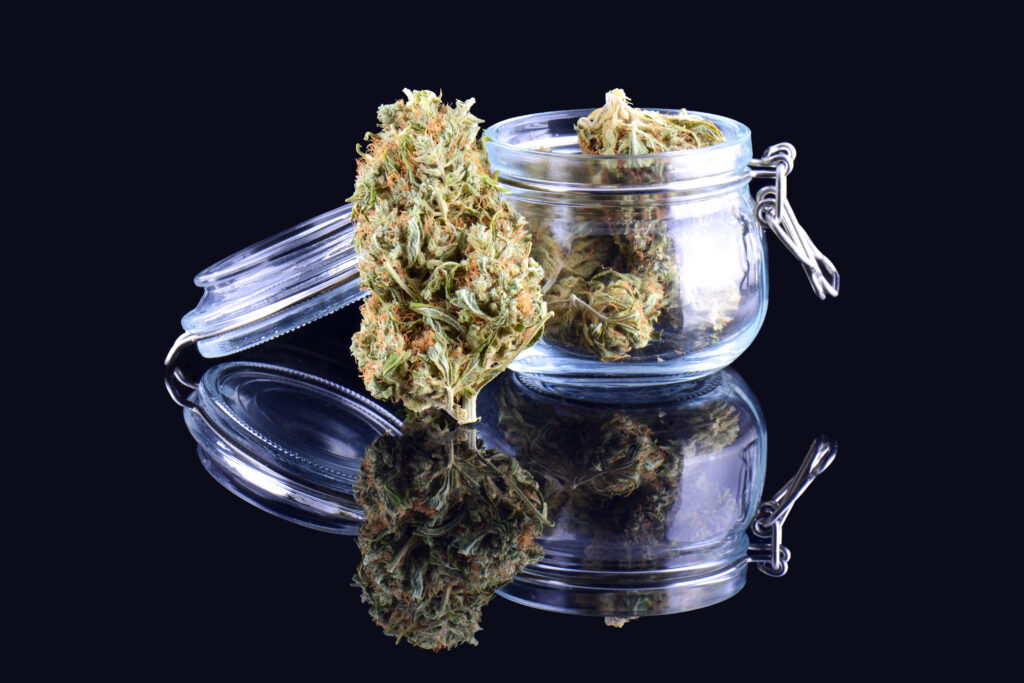 Cannabis flower buds with trichomes close-up