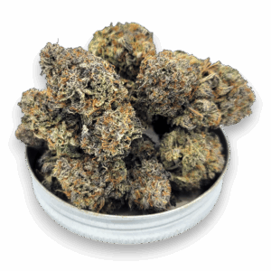 "Strawberry Kush full-size cannabis flower with sweet berry aroma"