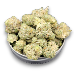 Platinum Gorilla