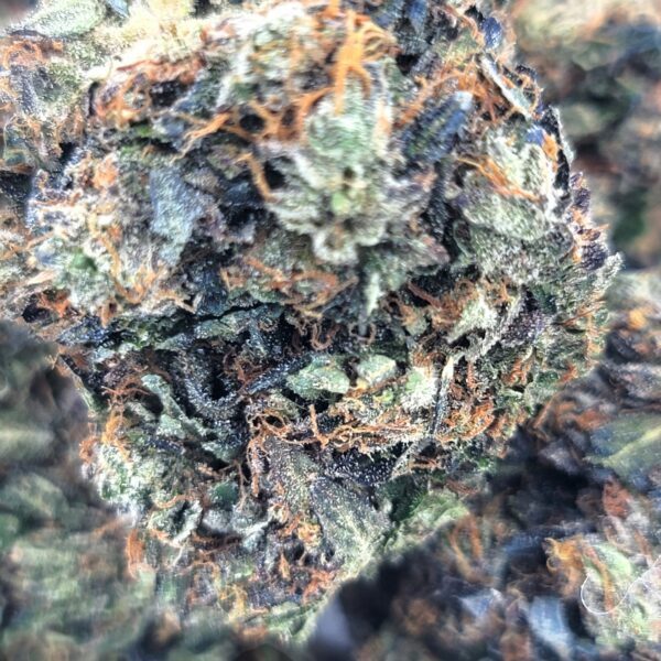 3 In The Pink - Indica - Image 2