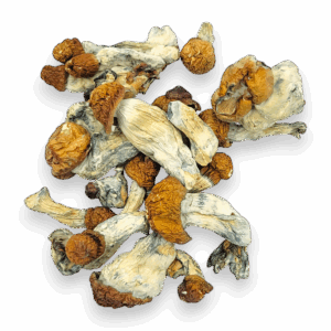 B+ Mushrooms