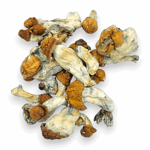 B+ Mushrooms