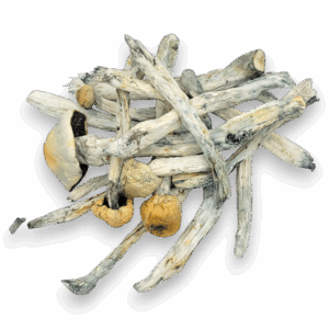 El Choko – Mushrooms