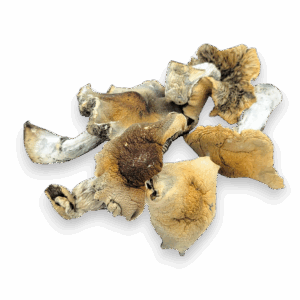 Hillbilly Magic Mushrooms