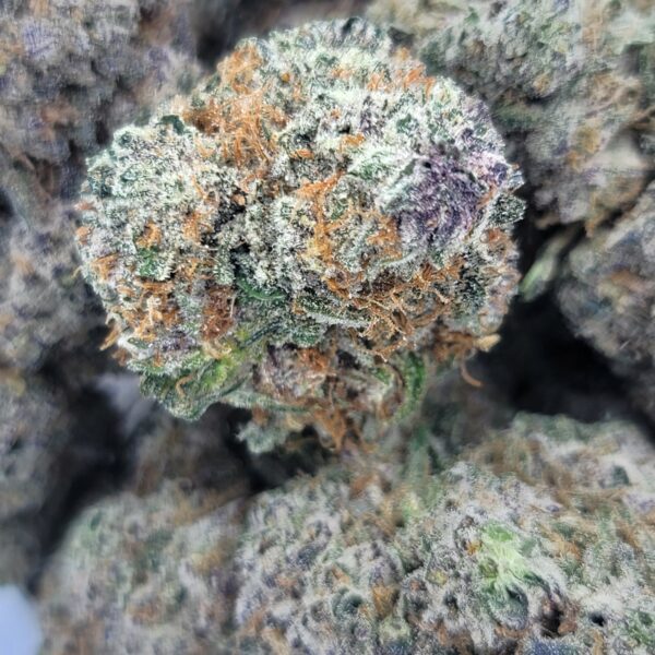 Jigglers - Indica - Image 2