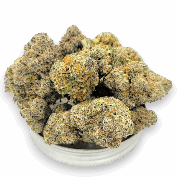 Jigglers strain cannabis