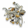 Tidal Wave Mushrooms are a high-potency Psilocybe cubensis strain born from a cross between the legendary Penis Envy and B+ varieties