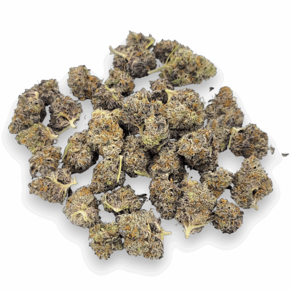 Purple Afghan Minis – Potent Indica with Spicy Terpenes - Image 3