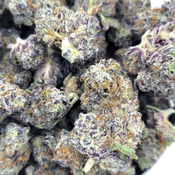 Purple Afghan Minis – Potent Indica with Spicy Terpenes - Image 2