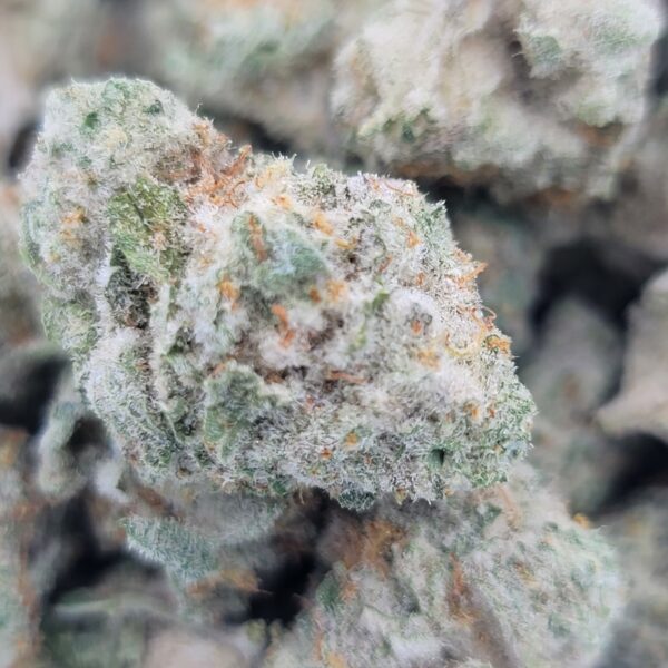 Grey Goose Minis - Indica - Image 2
