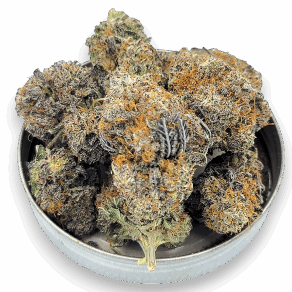purple urkle strain