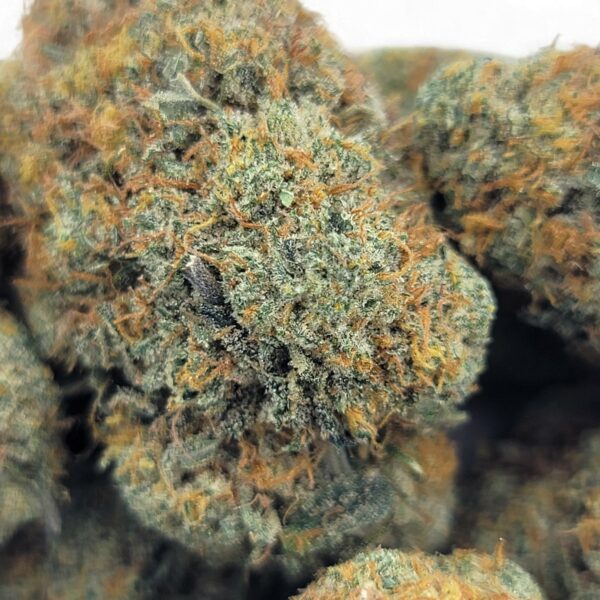 Cannalope Haze - Mids - Sativa - Image 2