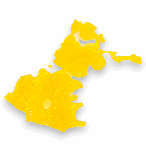 Skunky Diesel Shatter cannabis extract – golden, glassy texture